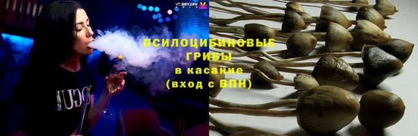 сатива Алексин