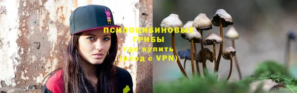 сатива Алексин