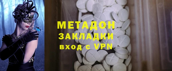прущие грибы Новозыбков