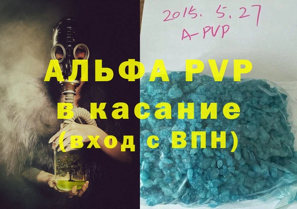 прущие грибы Новозыбков