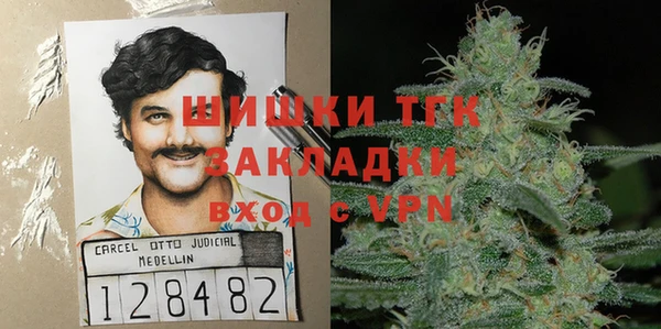 прущие грибы Новозыбков