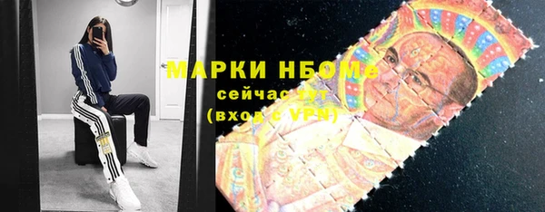 прущие грибы Новозыбков