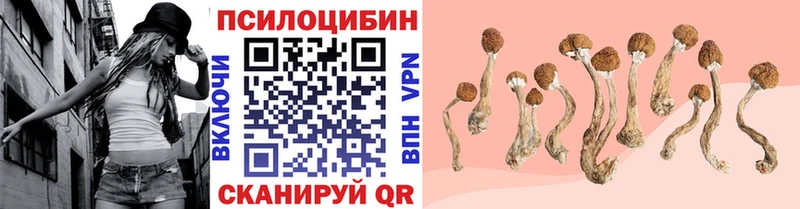 Псилоцибиновые грибы Magic Shrooms  mega ссылка  Чердынь 